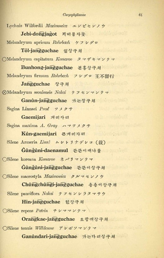 61페이지