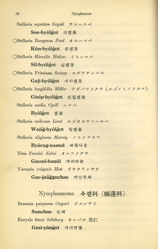 62페이지