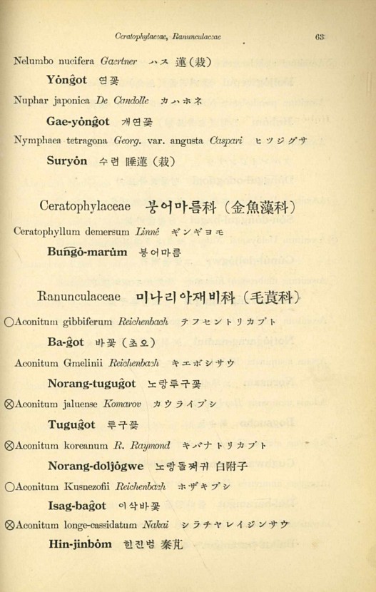 63페이지
