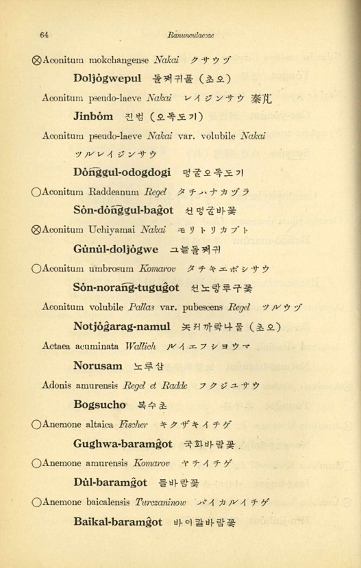 64페이지