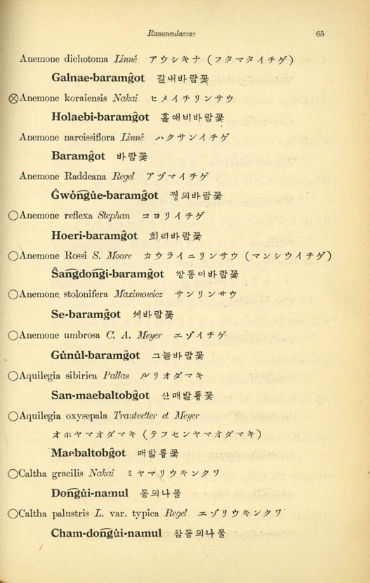 65페이지