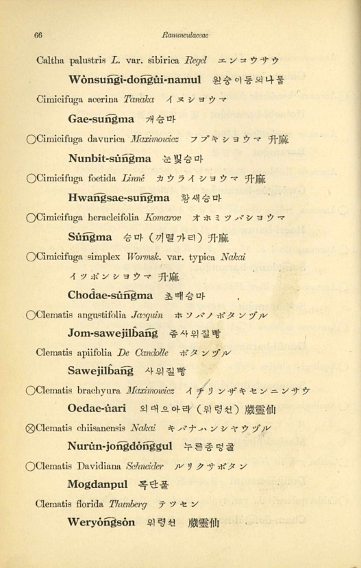 66페이지