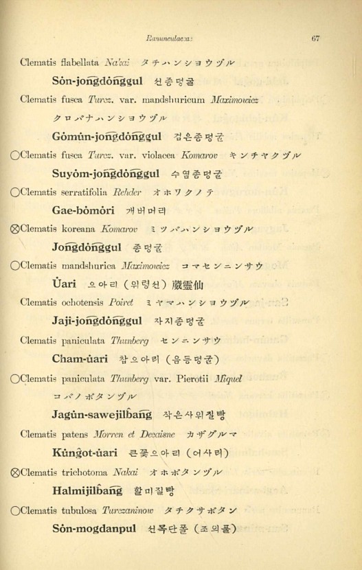 67페이지