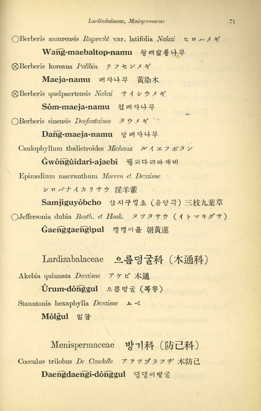 71페이지