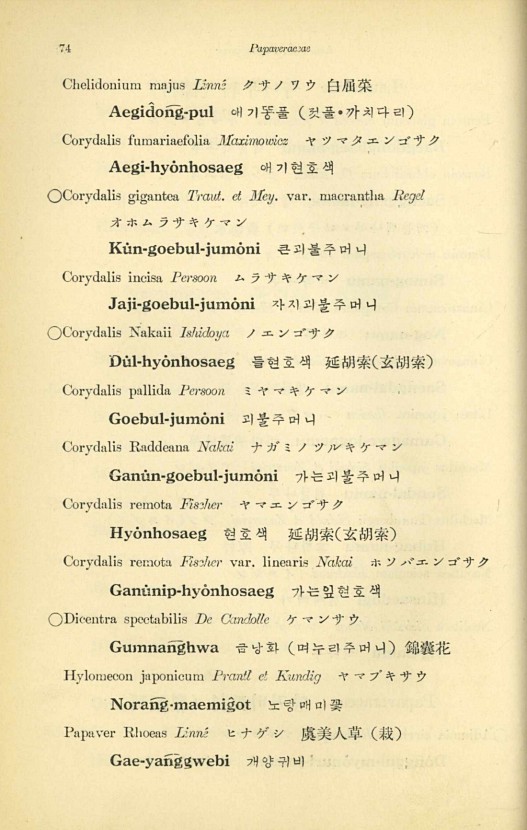 74페이지