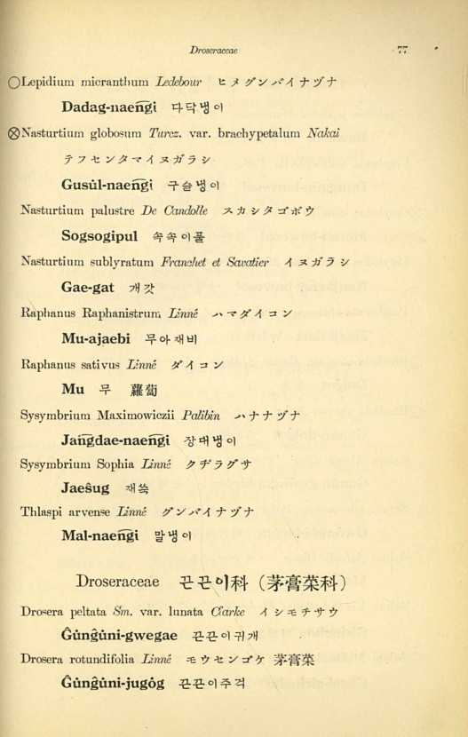 77페이지