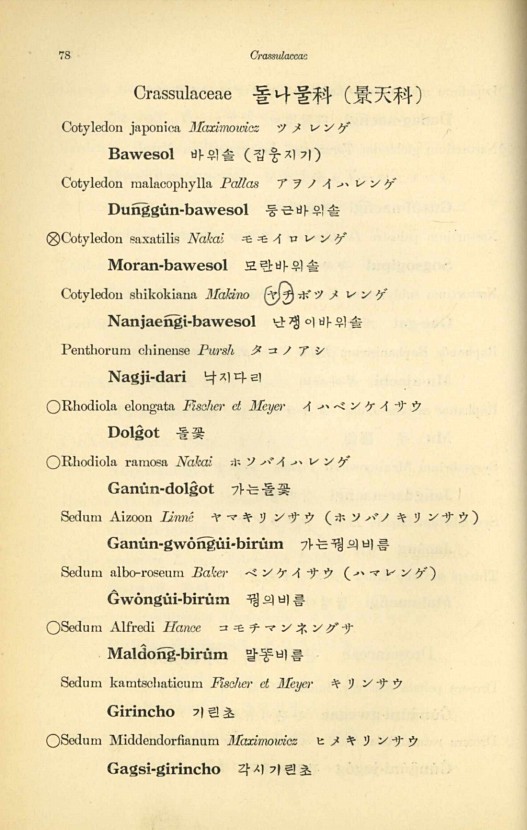 78페이지