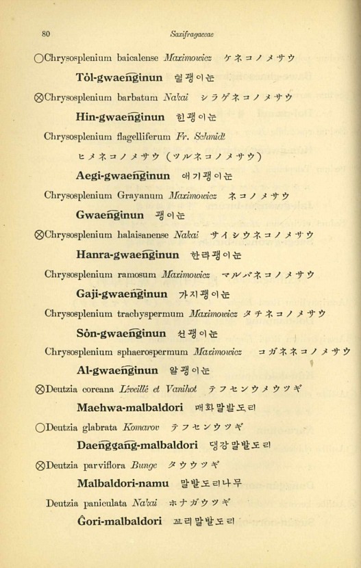 80페이지