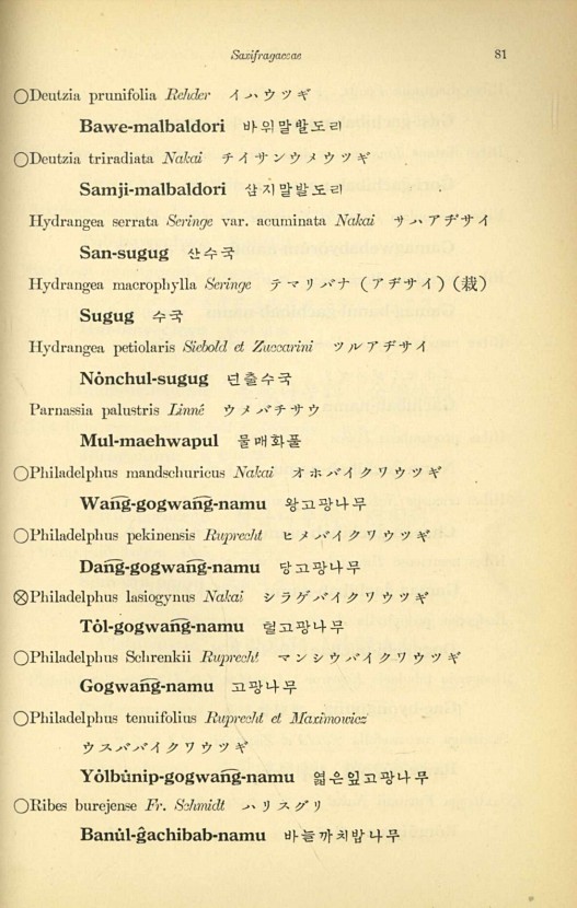 81페이지