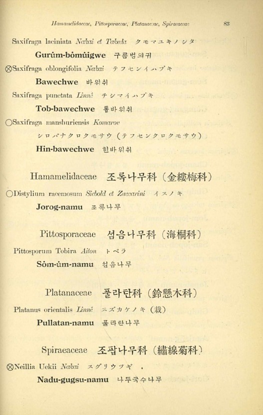 83페이지