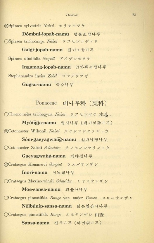 85페이지