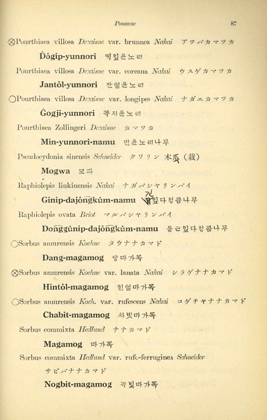 87페이지