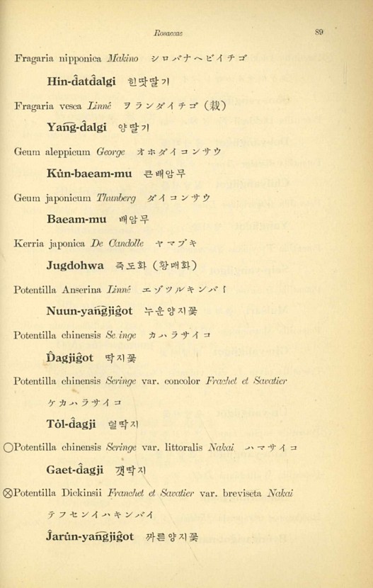 89페이지