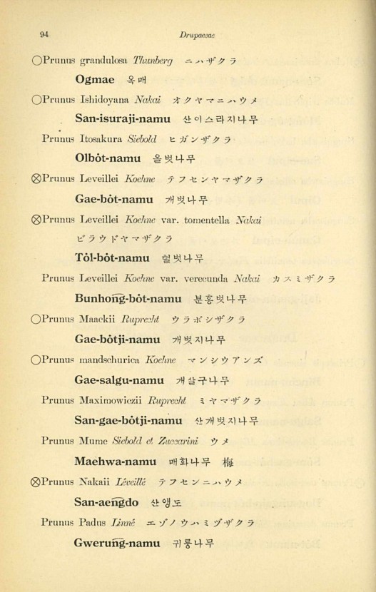 94페이지