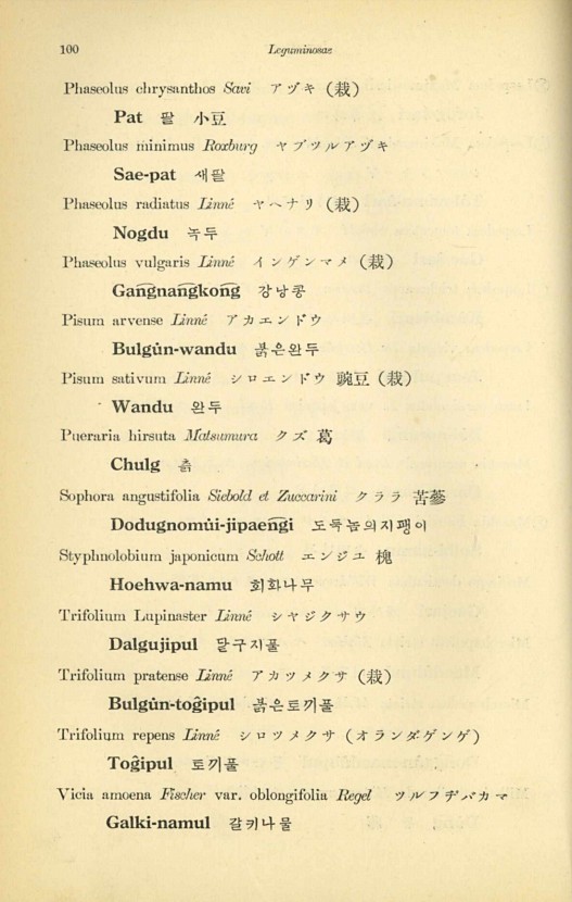 100페이지