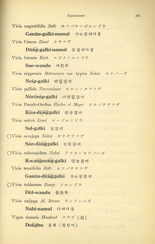 101페이지