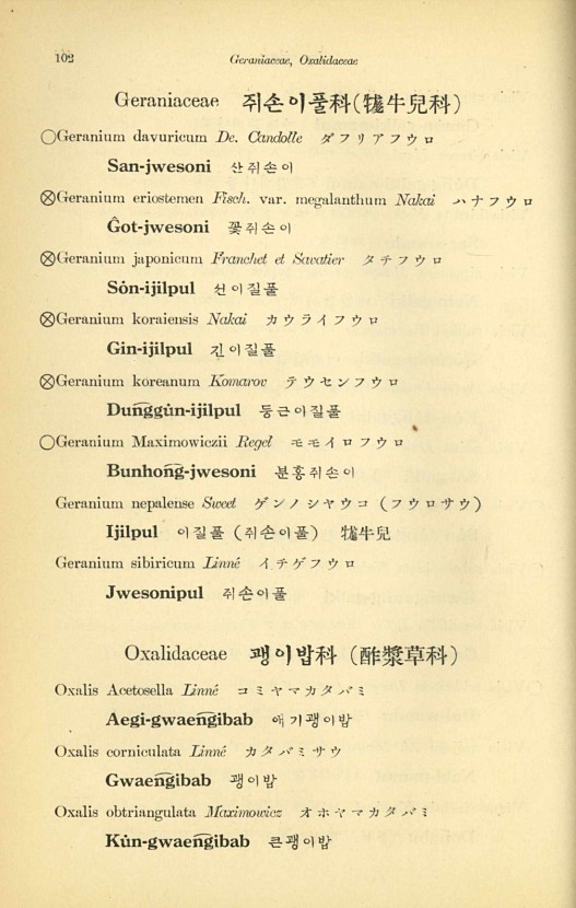 102페이지