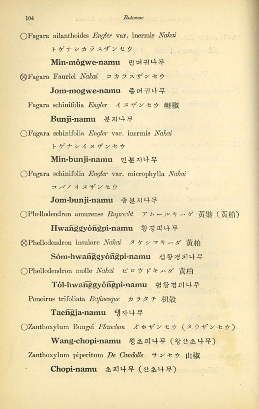 104페이지