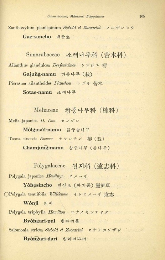105페이지