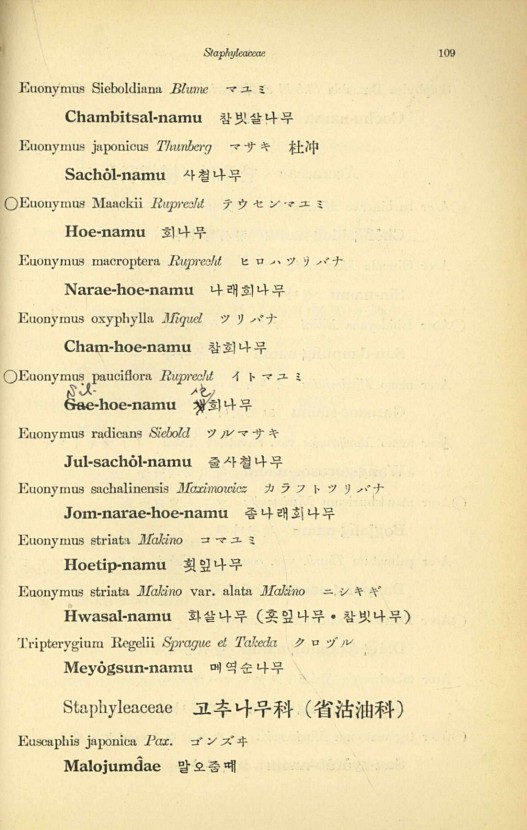 109페이지
