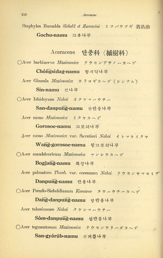 110페이지