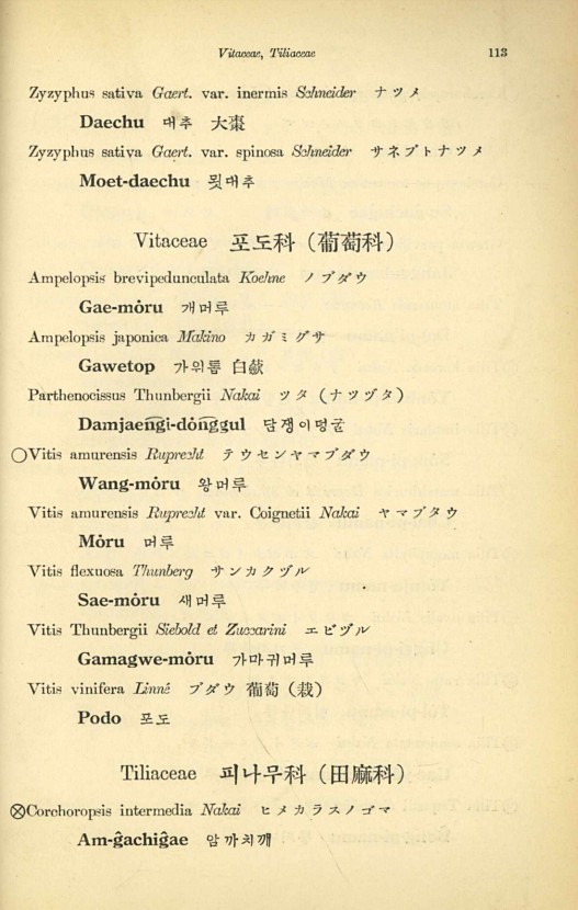 113페이지