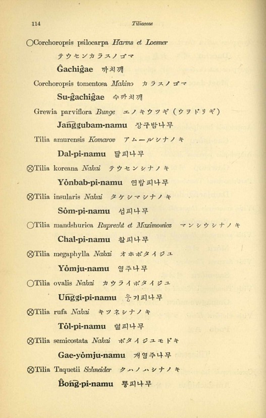 114페이지