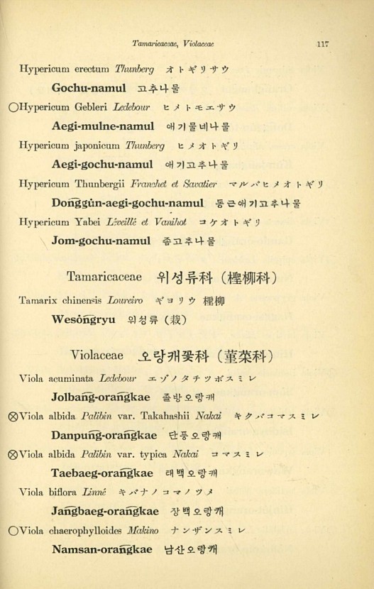 117페이지