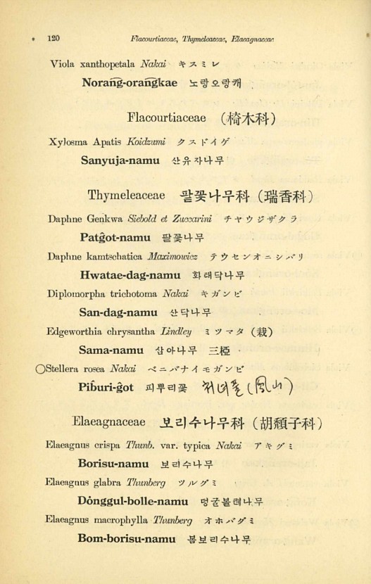 120페이지