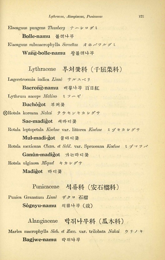 121페이지