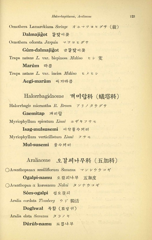 123페이지