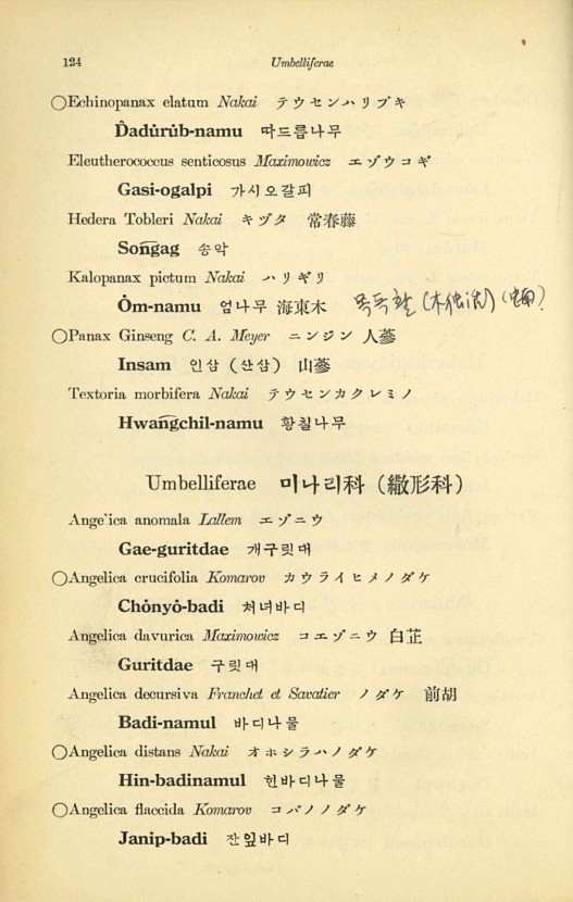 124페이지
