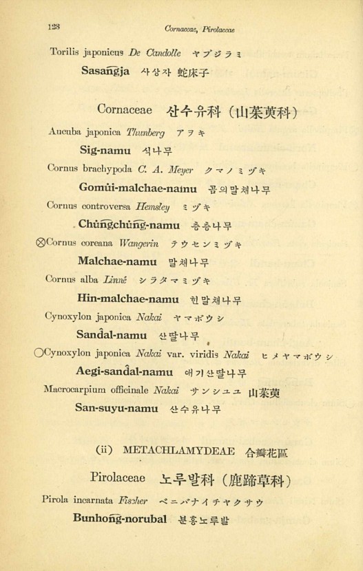 128페이지