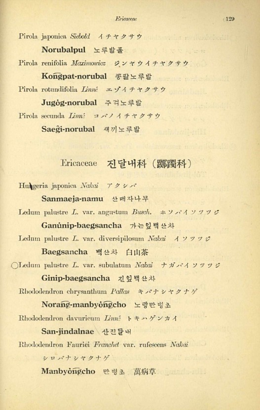 129페이지