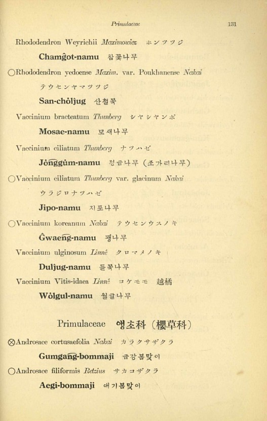 131페이지