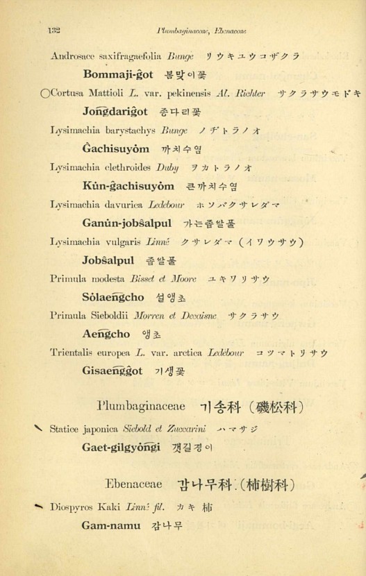 132페이지