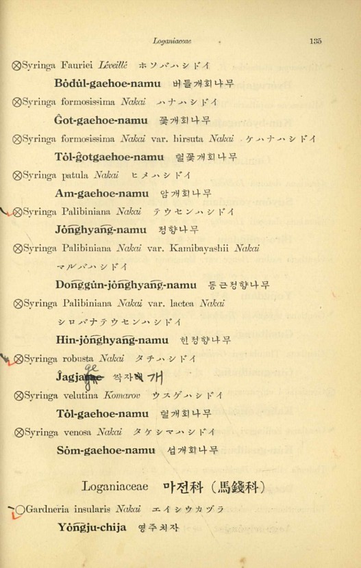 135페이지