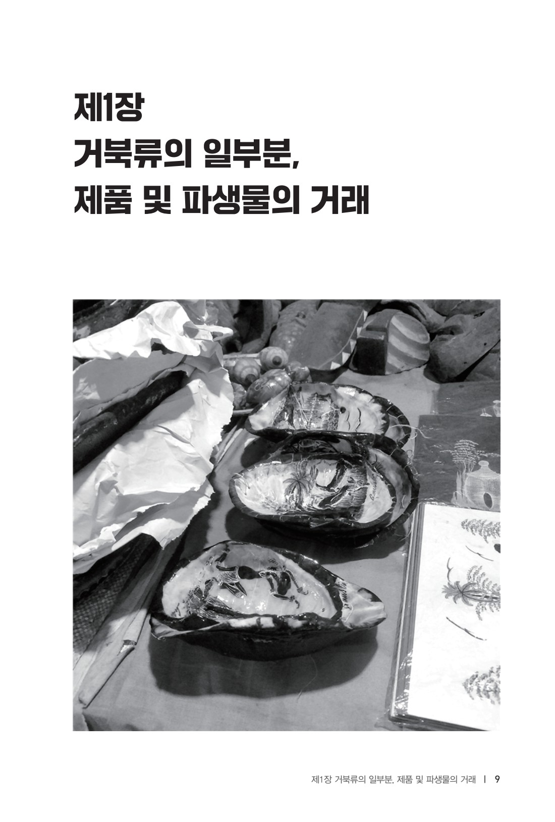 페이지