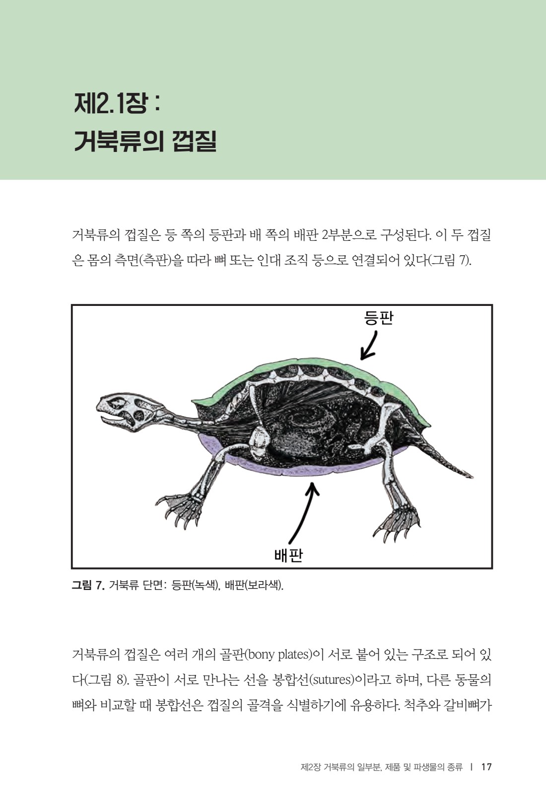 페이지