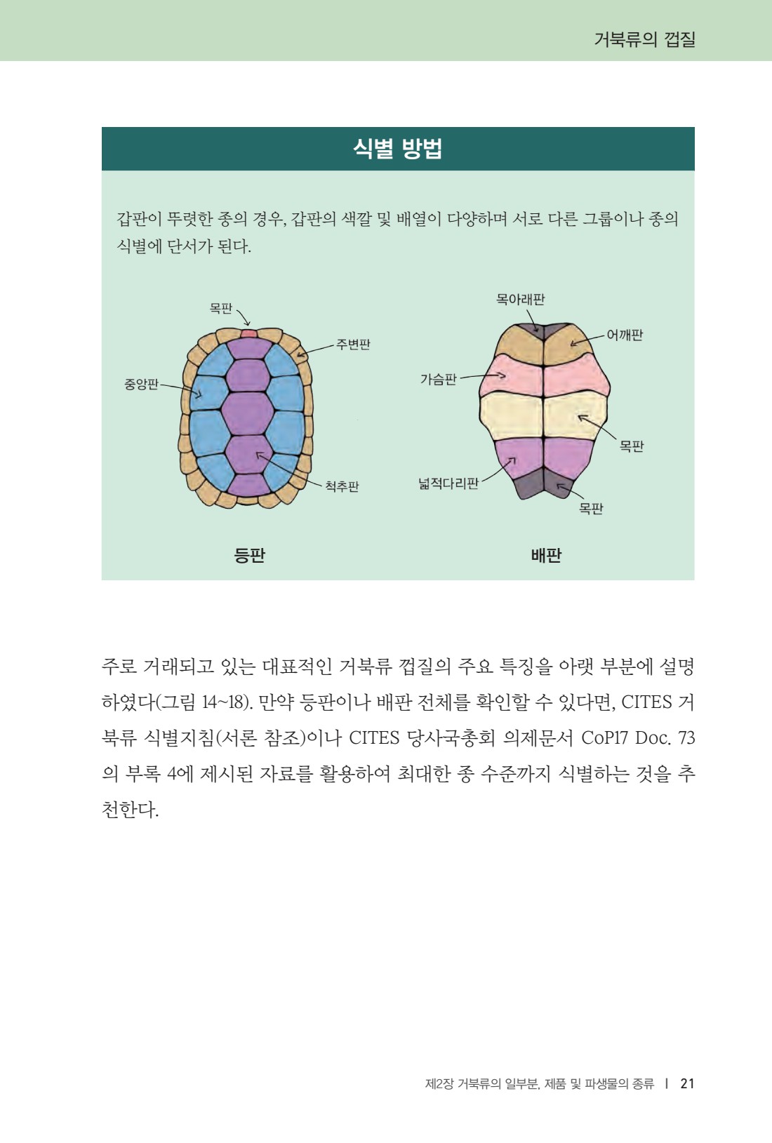 페이지