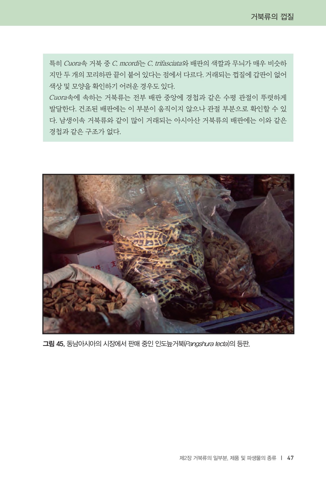 57쪽 확대 이미지