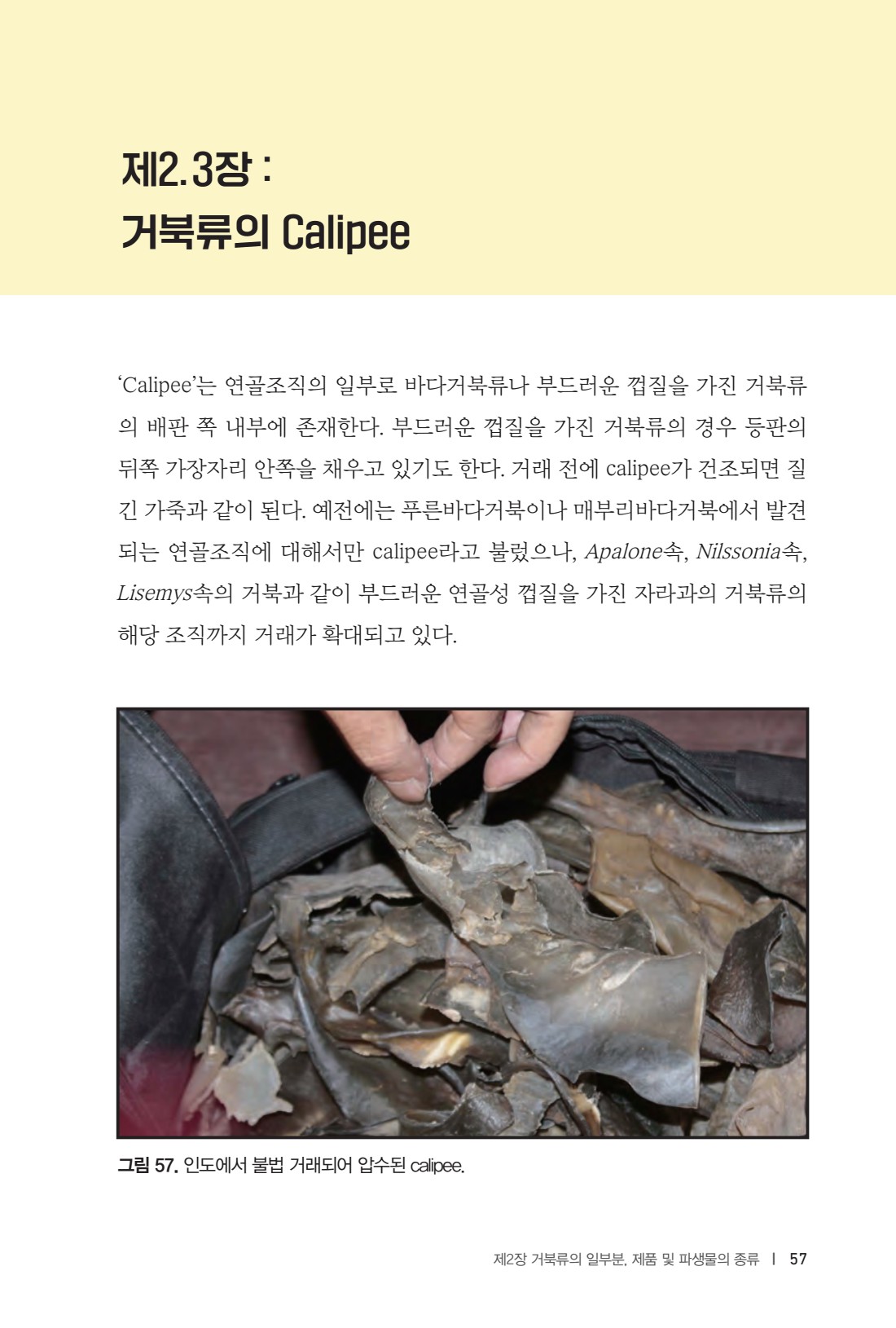 페이지