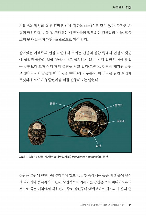 19페이지