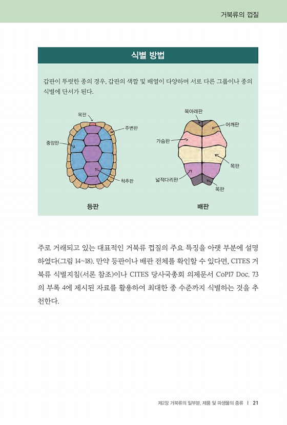 21페이지