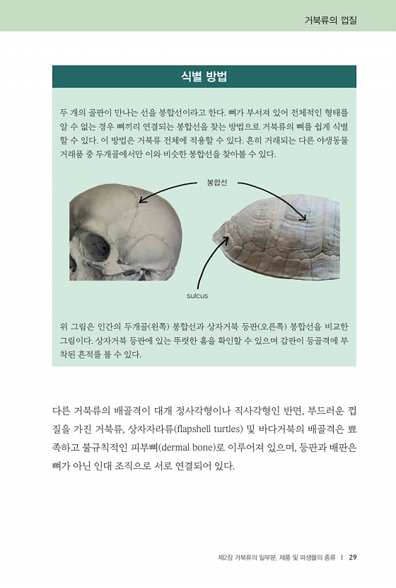 29페이지