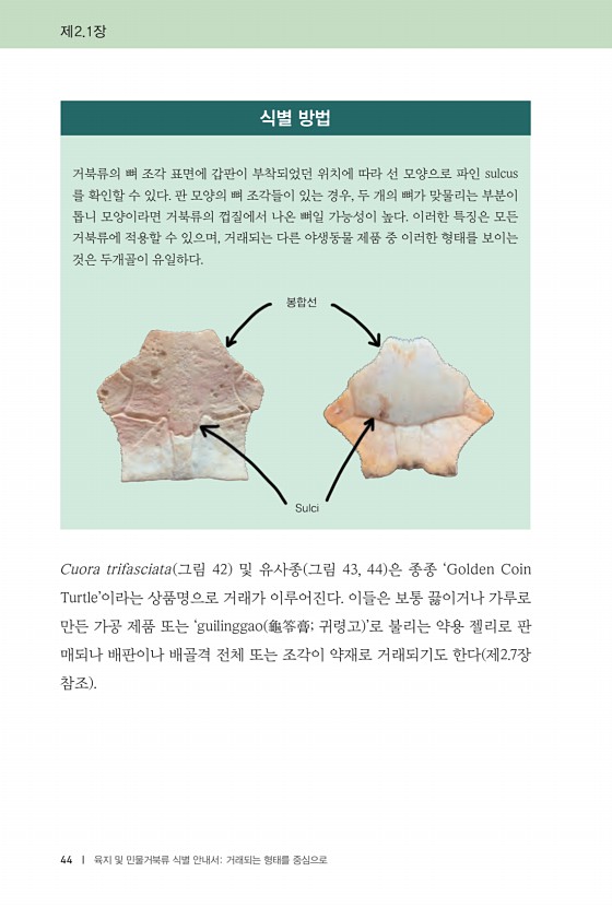 44페이지
