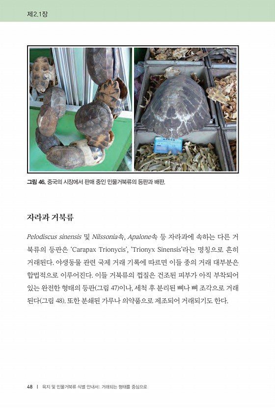 48페이지