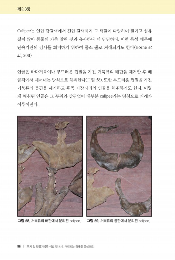 58페이지