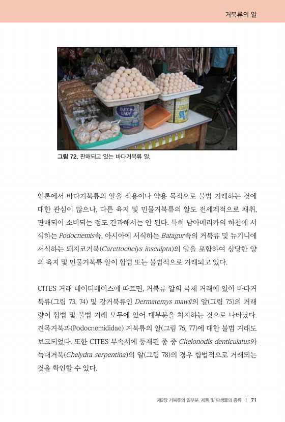 71페이지