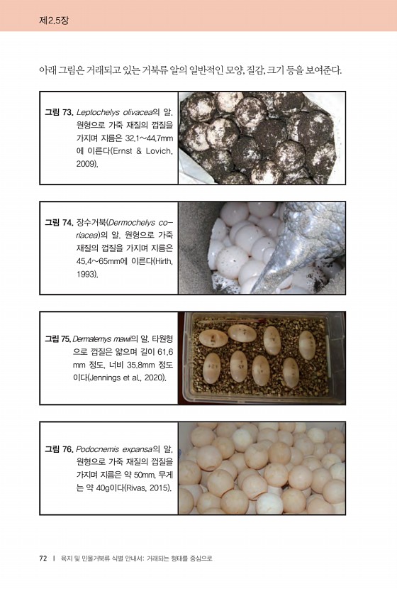 72페이지